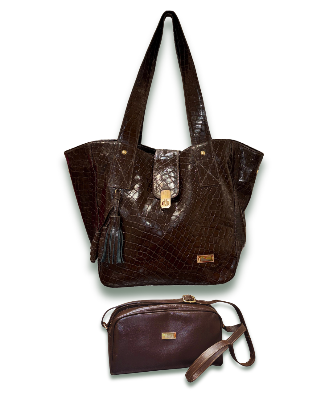 The Luxe Duo Bag